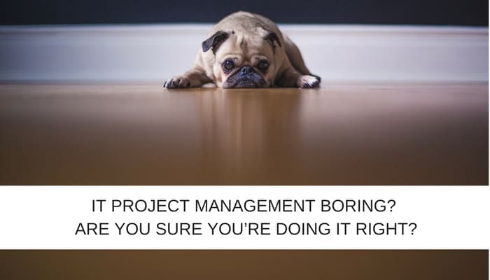 IT Project Management boring? Are you sure you’re doing it right?