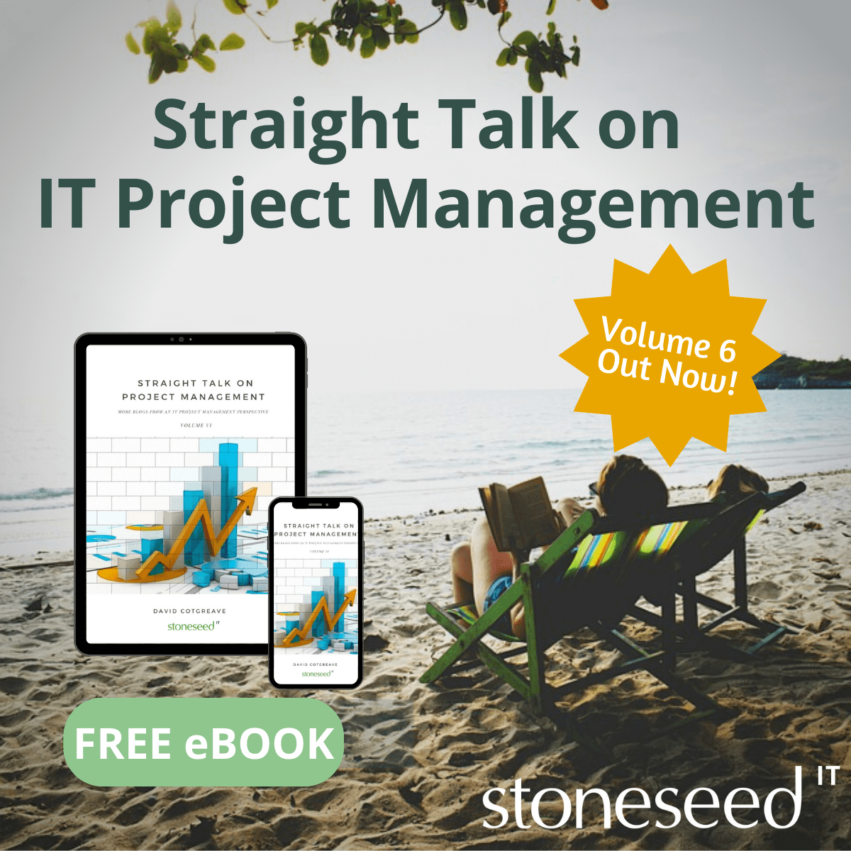 FREE IT Project Management eBook