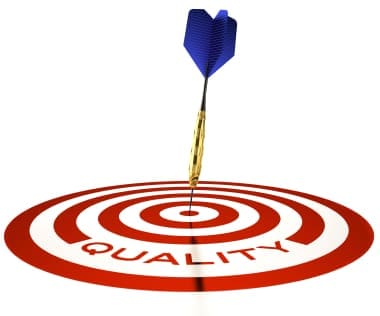project quality and project success