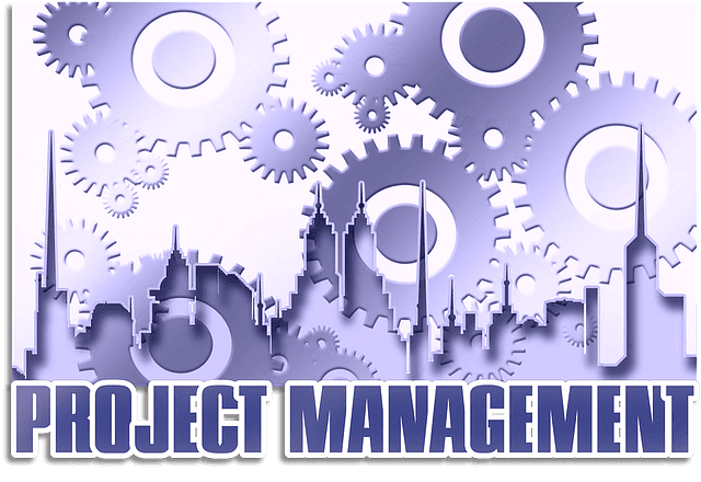 project management software